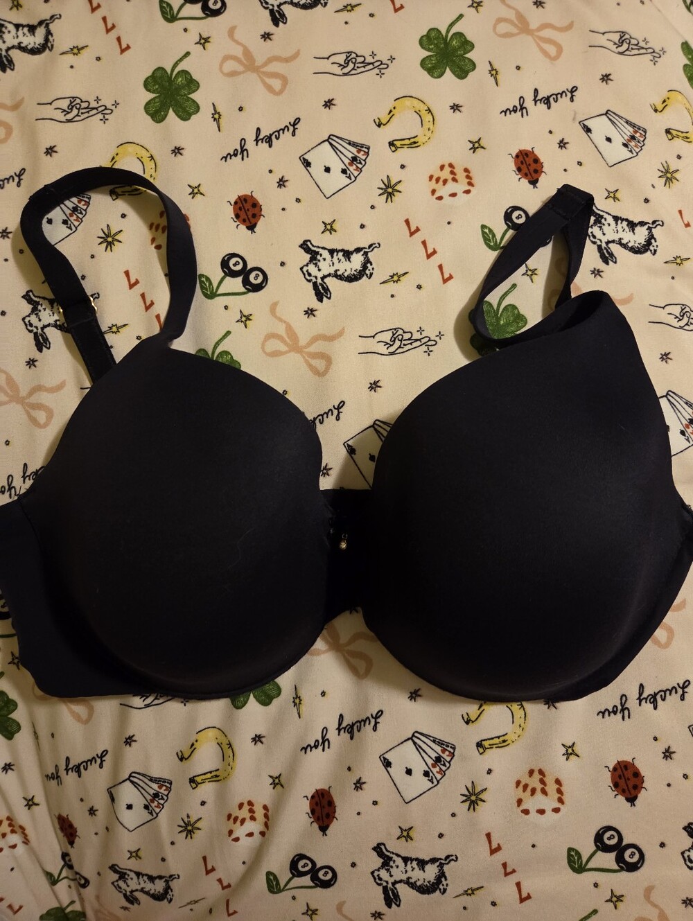 Black T-Shirt Bra 34DD